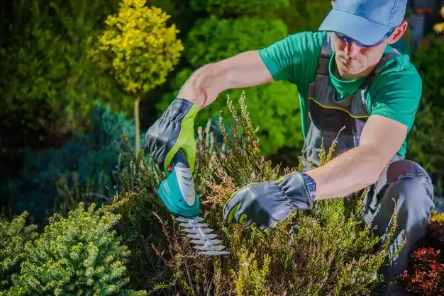 landscaping services Cedar Springs